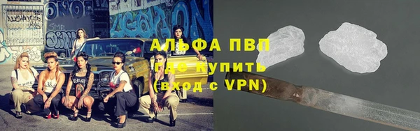 сатива Каменск-Шахтинский