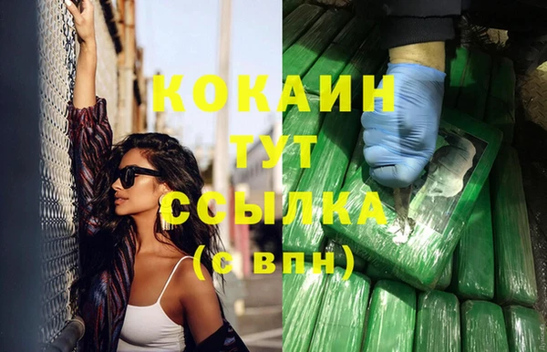 сатива Каменск-Шахтинский