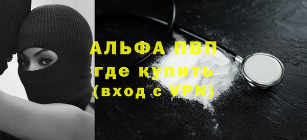 сатива Каменск-Шахтинский