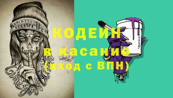 сатива Каменск-Шахтинский
