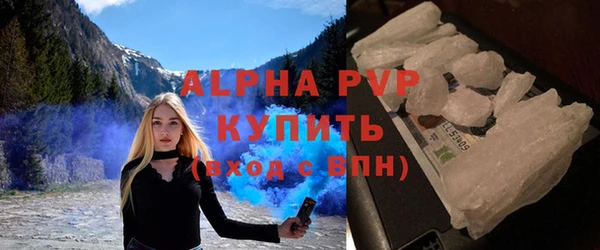гашик Каменногорск