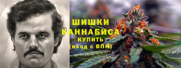 гашик Каменногорск